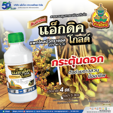 แอ็กโกรจิ๊บ